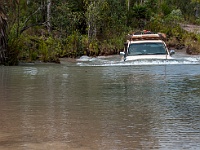 Old Telegraph Track Nolans Brook-9387